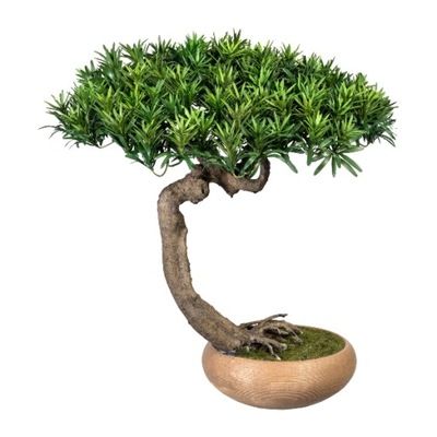 piękne sztuczne drzewko BONSAI Podocarpus 60/50