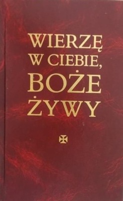 Wierzę w Ciebie Boże Żywy