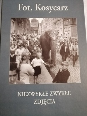 Niezwykłe zwykłe zdjęcia Kosycarz