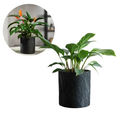 NOWOCZESNA DONICZKA OZDOBNA Z TWORZYWA - ELEGANCKI DESIGN