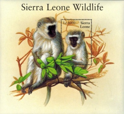 Sierra Leone ** - fauna