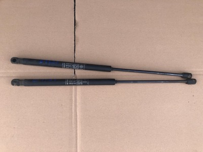 Амортизаторы крышки багажника fiat stilo 01-07 фото №1