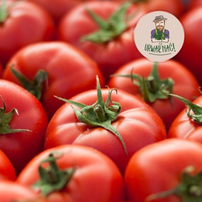 POMIDORY MALINOWE POLSKIE 1KG