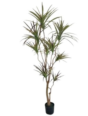 DRACENA SZTUCZNA ROŚLINA W DONICZCE 180CM