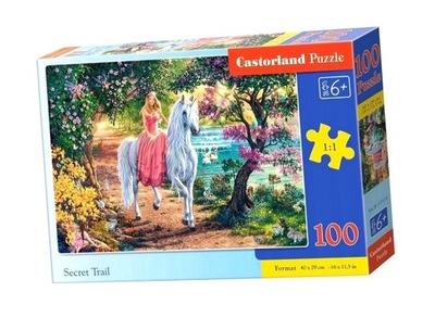 PUZZLE 100 SECRET TRAIL CASTOR, CASTORLAND