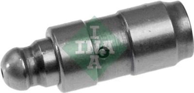 INA 420008210 PUSH ROD VALVES  