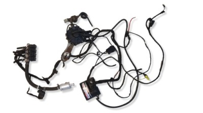 Электропроводка lpg sekwencja 4 cyl. stag 4 qbox basic фото №1