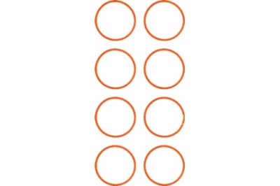 Victor reinz 11-77637-01 набор прокладка, коллектор впускной фото №1