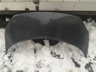 Капот renault scenic 2 teb66 фото №1