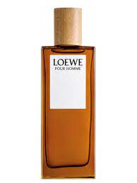 Loewe Pour Homme 100ML EDT