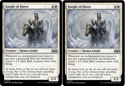 MTG Knight of Doves x2 (WOE) - stan NM