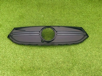 Mercedes w243,x243,eqb решітка радіатора, решітка радіатора радіатора перед фото №1