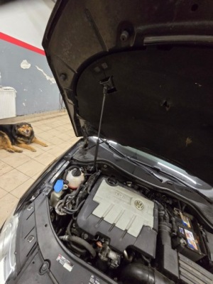 Привід капот vw passat b6 tdi 3c0823359 фото №1