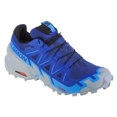 Buty do biegania Salomon Speedcross 6 Gtx r.42