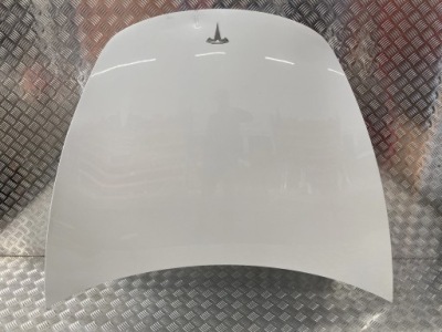 Капот крышка перед tesla model 3 17- ppsw фото №1