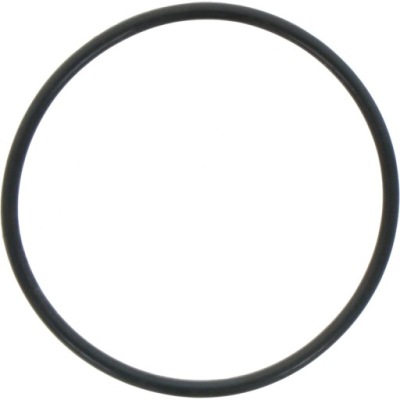 DANA Spicer O RING