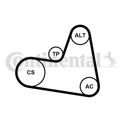 ĮTEMPIKLIS DIRŽELIO CONTINENTAL CTAM 6PK962K1 5751H6 PSA FORD 