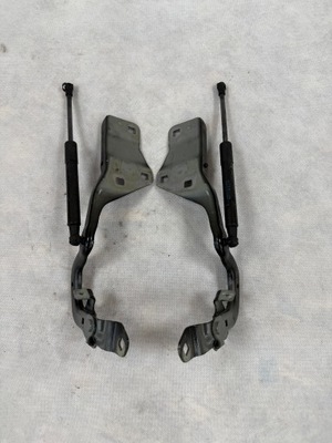 Петли петля правый левый капот renault scenic iv tegne комплект фото №1