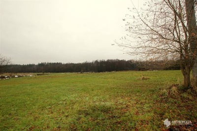 Działka, Brodła, Alwernia (gm.), 2000 m²