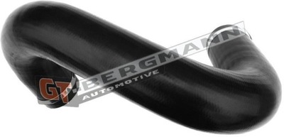 GT-BERGMANN CABLE DEL RADIADOR GT52-423  