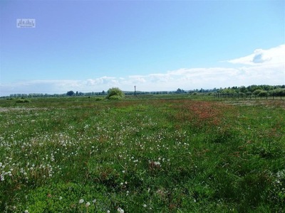 Działka, Mrzezino, Puck (gm.), 820 m²