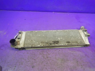 Renault scenic 2 1,5 dci интеркулер 8200468425 фото №1