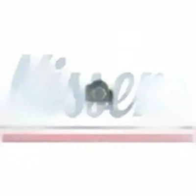 Шланг оливи турбонагнітача 935024 nissens ford фото №1