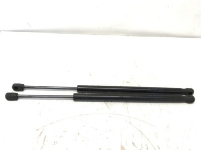 Амортизаторы амортизаторы капот tesla model s комплект фото №1