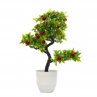 DRZEWKO BONSAI W DONICZCE ROŚLINA NA PREZENT