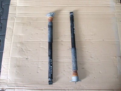 Ford ecosport амортизатор задняя задний фото №1