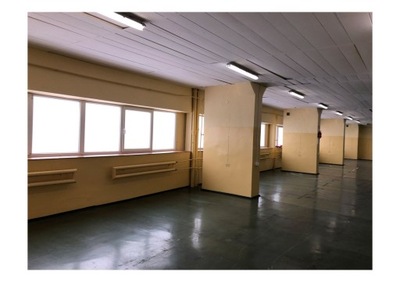 Magazyny i hale, Skórzewo, 540 m²