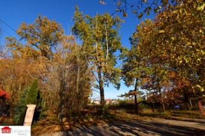 Działka, Kobyłka, Wołomiński, 1171 m²