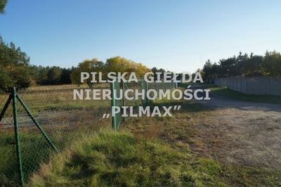 Działka, Piła, Pilski (pow.), 6000 m²