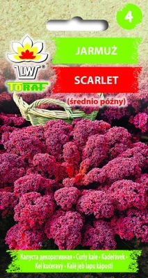 Jarmuż fioletowy kędzierzawy Scarlet nasiona 1g