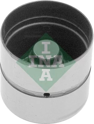 INA 420010610 PUSH ROD VALVES  