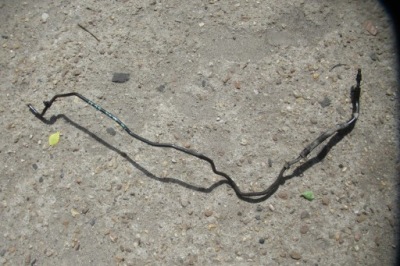 Hyundai ix55 3.0 crdi шланг підсилювача фото №1