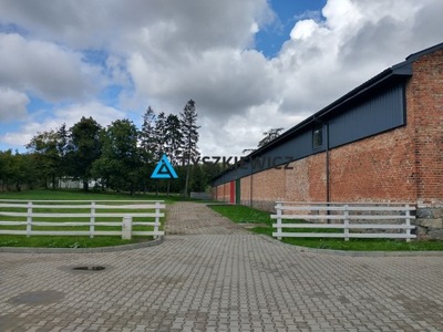 Magazyny i hale, Bąkowo, 1200 m²