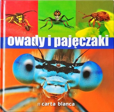 Owady i pajęczaki Michał Grabowski