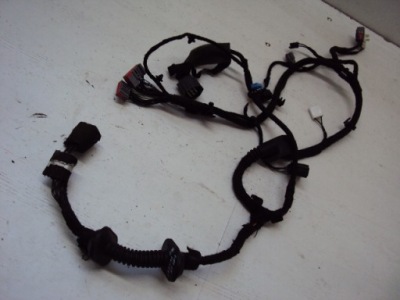 Электропроводка дверь правый перед jaguar xf 2008- фото №1