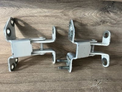 Петли крышки задняя ford ecosport fn15n42982aa фото №1