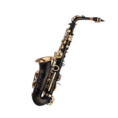 Eb Alto Saxophone Sax Brass Lacquered Gold 82Z