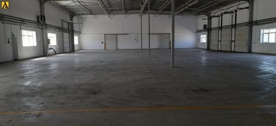 Magazyny i hale, Toruń, 1000 m²