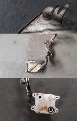 Lexus is iii 300h 2013- радіатор оливи фото №1