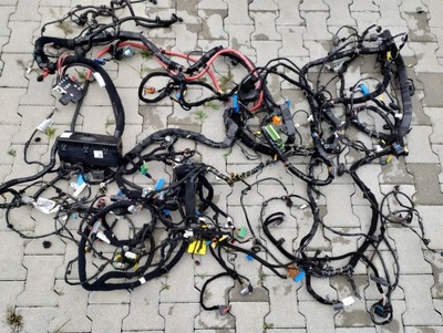 Джгут електропроводка салону maserati quattroporte vi 3.0b фото №1