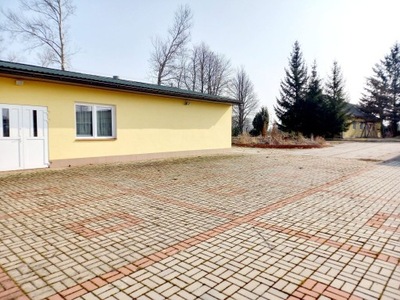 Lokal usługowy, Plewki, 10827 m²