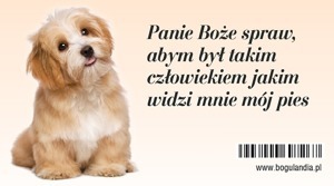 Magnes 2 na lodówkę Panie Boże spraw, abym był tak