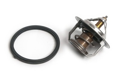 OYODO TERMOSTATO HYUNDAI 20C0517-OYO  