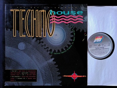 Various, Techno House, LP
