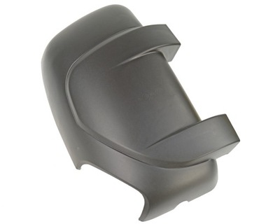 CASING MIRRORS RIGHT MASTER 3 III LONG HOLDER - milautoparts-fr.ukrlive.com