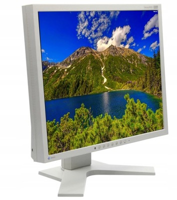 Monitor LCD Eizo FlexScan S1921 19' IPS / PLS